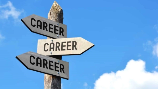 career choices guidance